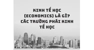 Kinh tế học (economics) là gì? Các trường phái kinh tế học