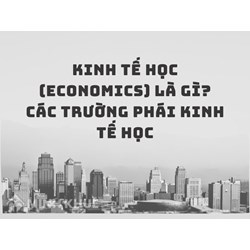 Kinh tế học (economics) là gì? Các trường phái kinh tế học