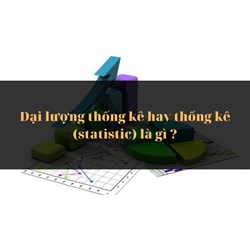 Đại lượng thống kê hay thống kê (statistic) là gì ?