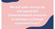 Dự trữ quốc tế hay dự trữ ngoại hối là gì?
