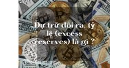 Dự trữ dôi ra, tỷ lệ (excess reserves) là gì ?