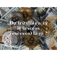 Dự trữ dôi ra, tỷ lệ (excess reserves) là gì ?