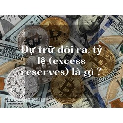 Dự trữ dôi ra, tỷ lệ (excess reserves) là gì ?