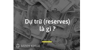 Dự trữ (reserves) là gì? Đặc điểm, phân loại, vai trò của dự trữ
