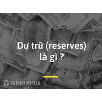 Dự trữ (reserves) là gì? Đặc điểm, phân loại, vai trò của dự trữ