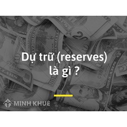 Dự trữ (reserves) là gì? Đặc điểm, phân loại, vai trò của dự trữ