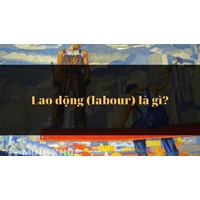 Lao động (labour) là gì ?
