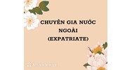 Chuyên gia nước ngoài là gì? Expatriate nghĩa là gì?