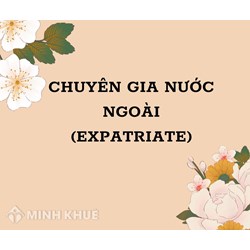 Chuyên gia nước ngoài là gì? Expatriate nghĩa là gì?