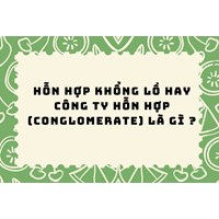 Hỗn hợp khổng lồ hay công ty hỗn hợp (conglomerate) là gì ?
