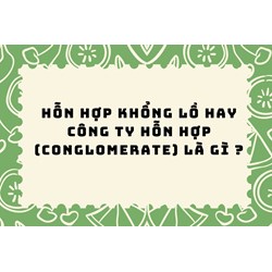 Hỗn hợp khổng lồ hay công ty hỗn hợp (conglomerate) là gì ?