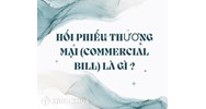 Hối phiếu thương mại là gì? Các loại hối phiếu thương mại