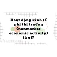 Hoạt động kinh tế phi thị trường (nonmarket economic activity) là gì?