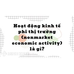 Hoạt động kinh tế phi thị trường (nonmarket economic activity) là gì?
