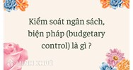 Kiểm soát ngân sách, biện pháp (budgetary control) là gì ?