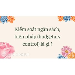 Kiểm soát ngân sách, biện pháp (budgetary control) là gì ?