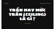 Trần là gì? Mức trần là gì? Giá trần trong kinh tế vĩ mô