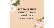 Sự tránh thuế, hành vi tránh thuế (tax avoidance) là gì ?