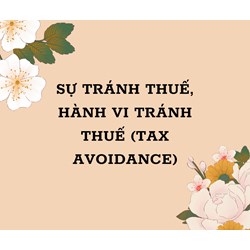 Sự tránh thuế, hành vi tránh thuế (tax avoidance) là gì ?