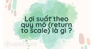 Lợi suất theo quy mô (return to scale) là gì ?