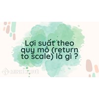 Lợi suất theo quy mô (return to scale) là gì ?