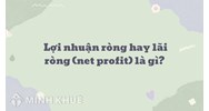 Lợi nhuận ròng hay lãi ròng là gì? Net profit nghĩa là gì?
