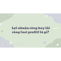 Lợi nhuận ròng hay lãi ròng là gì? Net profit nghĩa là gì?