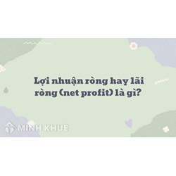 Lợi nhuận ròng hay lãi ròng là gì? Net profit nghĩa là gì?