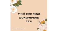 Thuế tiêu dùng (consumption tax) là gì ?