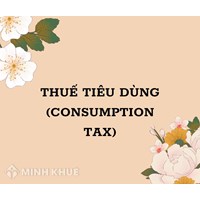 Thuế tiêu dùng (consumption tax) là gì ?