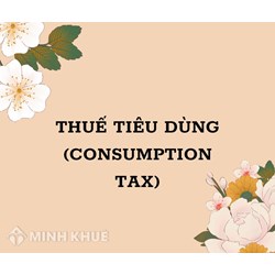 Thuế tiêu dùng (consumption tax) là gì ?