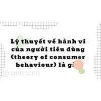 Lý thuyết về hành vi của người tiêu dùng (theory of consumer behaviour) là gì?