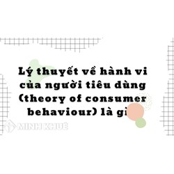 Lý thuyết về hành vi của người tiêu dùng (theory of consumer behaviour) là gì?