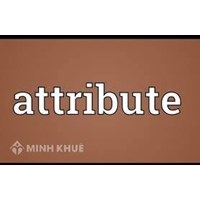 Đặc tính (attribute) là gì? Lý thuyết và Mô hình đặc tính