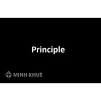 Nguyên lý hay nguyên tắc (principle) là gì ?