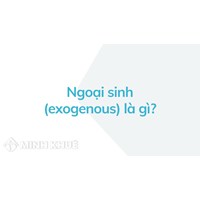 Ngoại sinh (exogenous) là gì ?