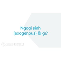 Ngoại sinh (exogenous) là gì ?