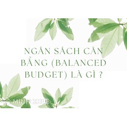 Ngân sách cân bằng (balanced budget) là gì ?