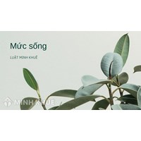 Mức sống (standard of living) là gì ?