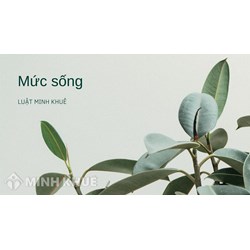 Mức sống (standard of living) là gì ?