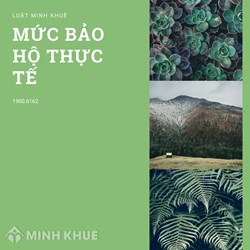 Mức bảo hộ thực tế (effective rate of protection) là gì ?
