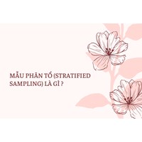 Mẫu phân tổ (Stratified sampling) là gì ?