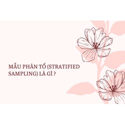 Mẫu phân tổ (Stratified sampling) là gì ?