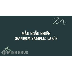 Mẫu ngẫu nhiên (random sample) là gì ?