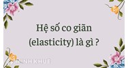 Hệ số co giãn (elasticity) là gì ?