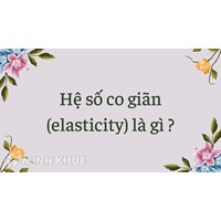 Hệ số co giãn (elasticity) là gì ?