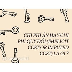Chi phí ẩn hay chi phí quy đổi (implicit cost or imputed cost) là gì ?