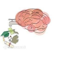 Chảy máu chất xám là gì? Nguyên nhân, hậu quả chảy máu chất xám