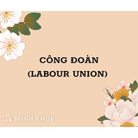 Công đoàn (labour union) là gì ?