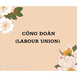 Công đoàn (labour union) là gì ?